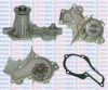 AQUAPLUS 85-2960 Water Pump
